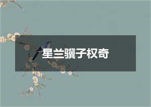 星兰骥子权奇