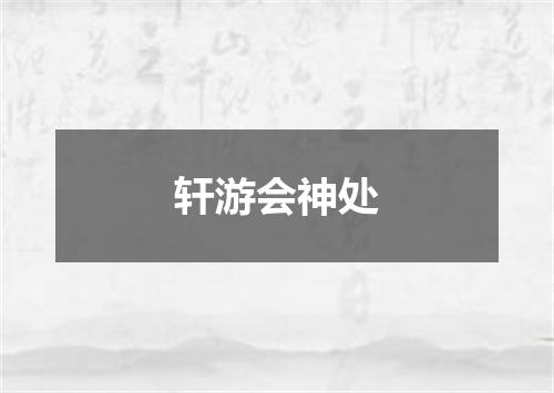 轩游会神处