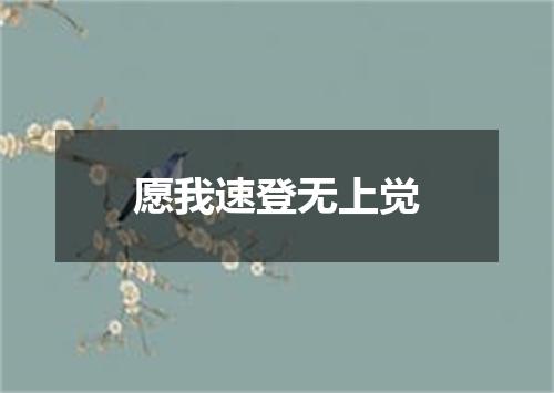 愿我速登无上觉