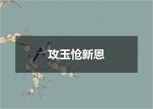 攻玉怆新恩