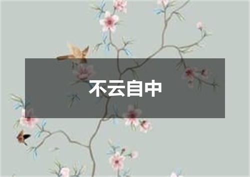 不云自中