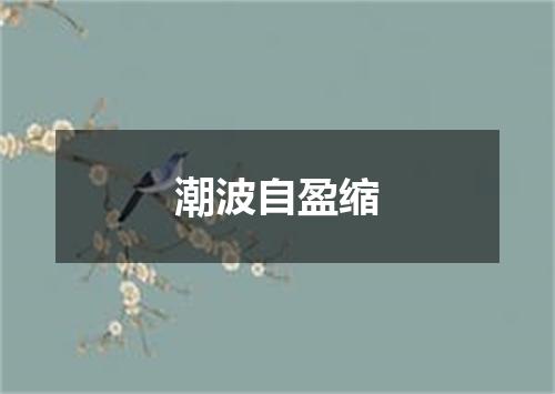 潮波自盈缩