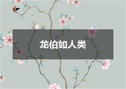 龙伯如人类