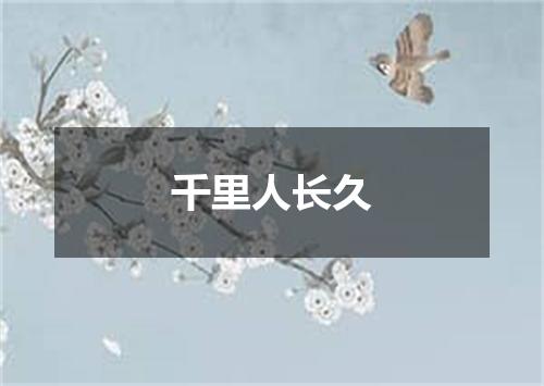 千里人长久