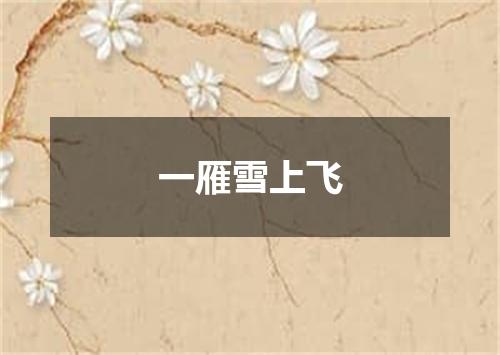 一雁雪上飞