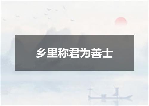乡里称君为善士