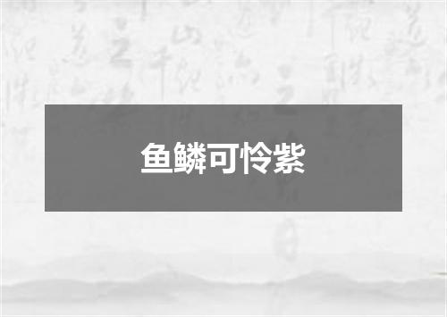 鱼鳞可怜紫