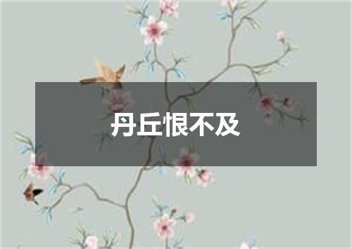 丹丘恨不及
