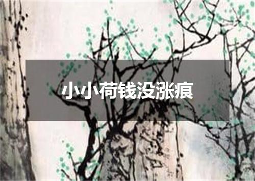 小小荷钱没涨痕