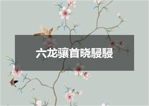 六龙骧首晓駸駸