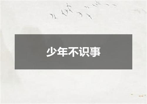 少年不识事
