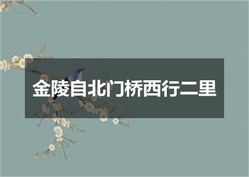 金陵自北门桥西行二里