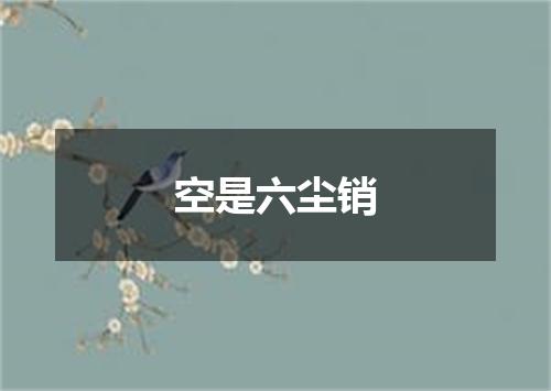 空是六尘销
