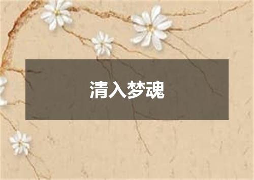 清入梦魂