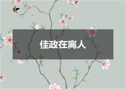 佳政在离人