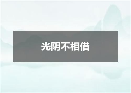 光阴不相借