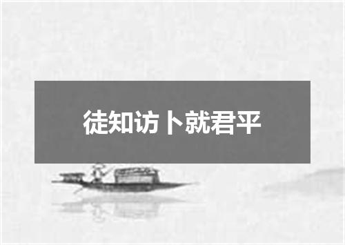 徒知访卜就君平