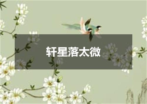 轩星落太微