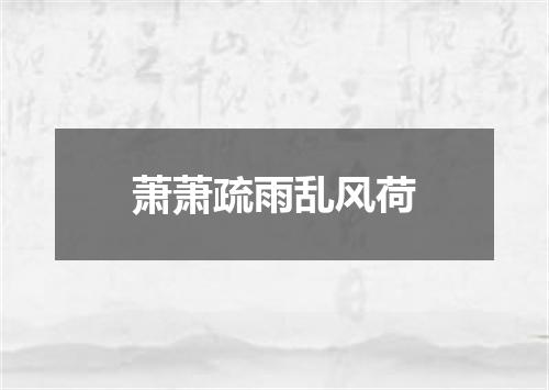 萧萧疏雨乱风荷
