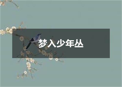 梦入少年丛