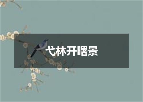 弋林开曙景