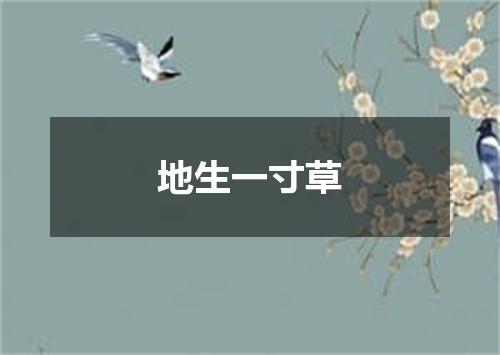 地生一寸草