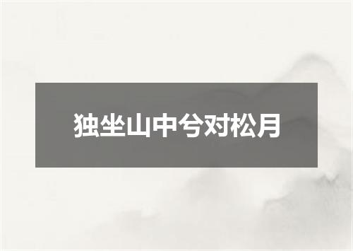 独坐山中兮对松月