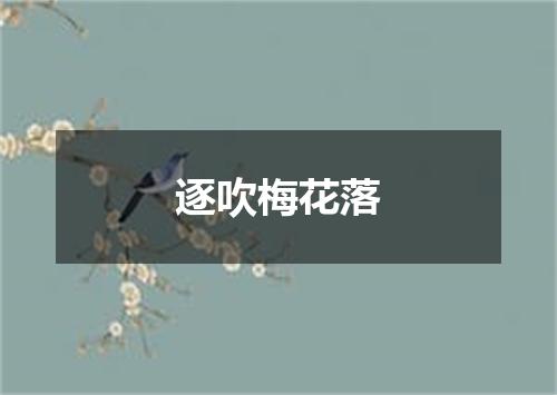 逐吹梅花落