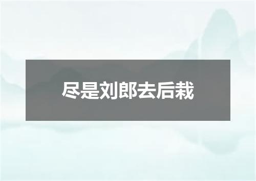 尽是刘郎去后栽