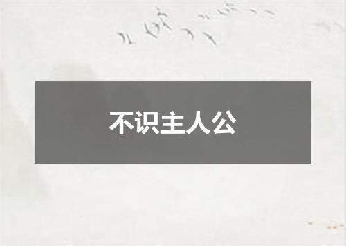 不识主人公