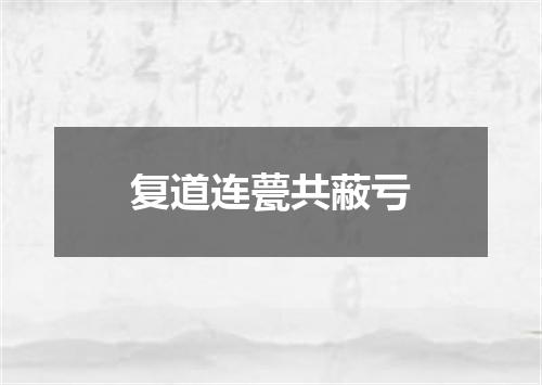 复道连甍共蔽亏
