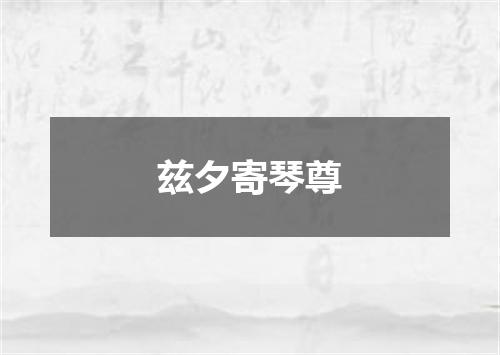 兹夕寄琴尊