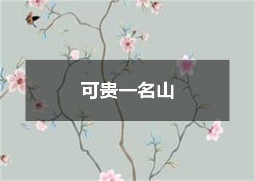可贵一名山