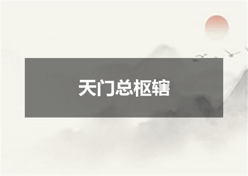 天门总枢辖