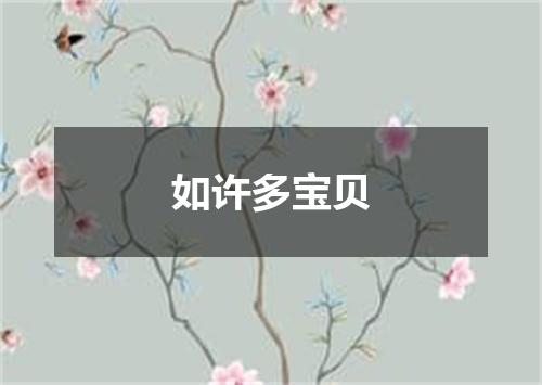 如许多宝贝