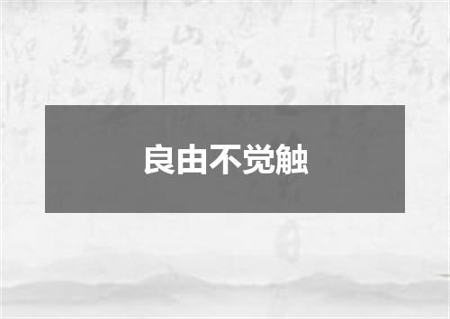 良由不觉触