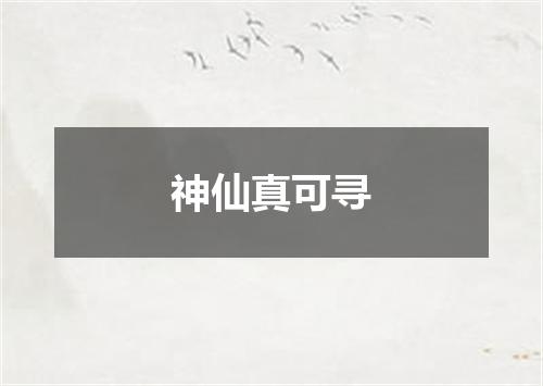 神仙真可寻