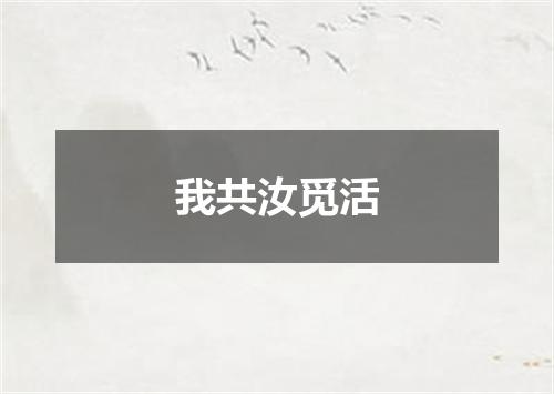 我共汝觅活