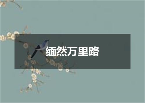缅然万里路