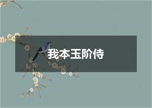 我本玉阶侍