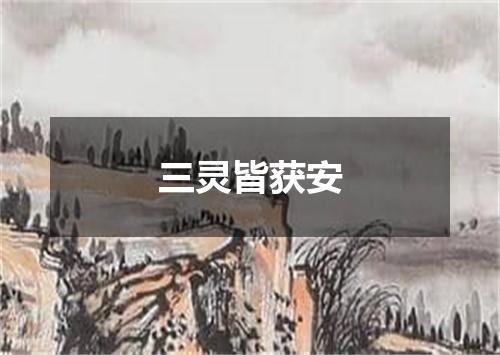 三灵皆获安