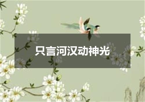 只言河汉动神光