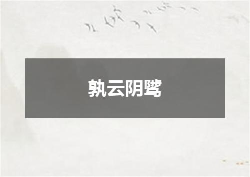 孰云阴骘