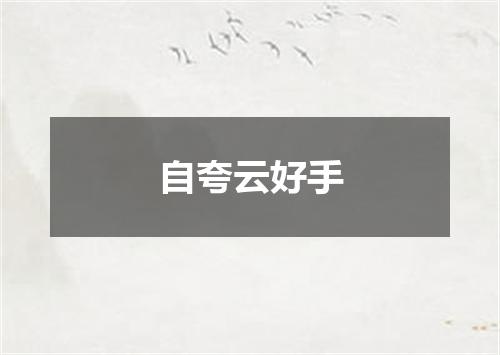 自夸云好手