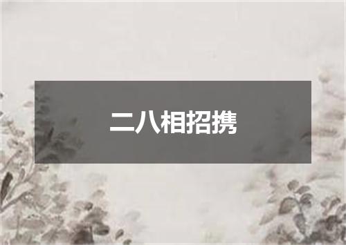 二八相招携