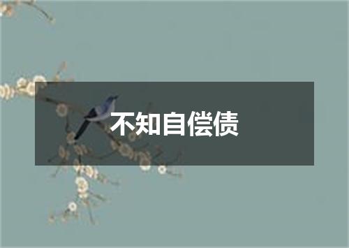不知自偿债