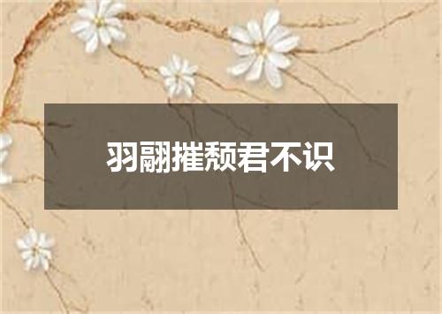 羽翮摧颓君不识