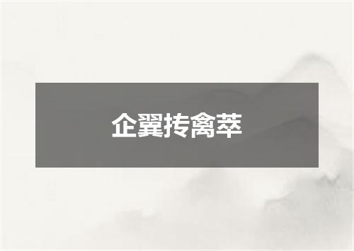 企翼抟禽萃