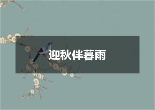 迎秋伴暮雨