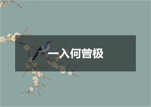一入何曾极